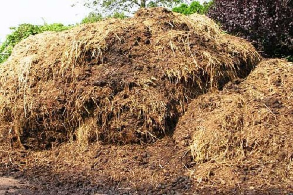 manure storage 