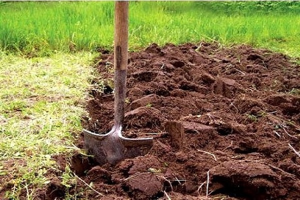 soil preparation