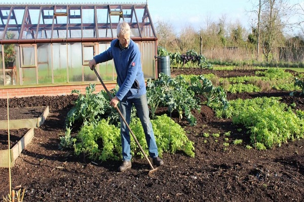 man in the garden