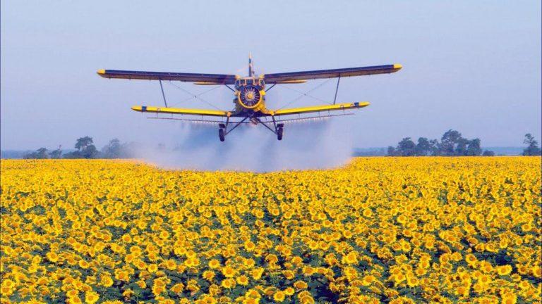 spraying the field