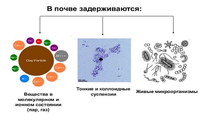 soil exchange scheme 