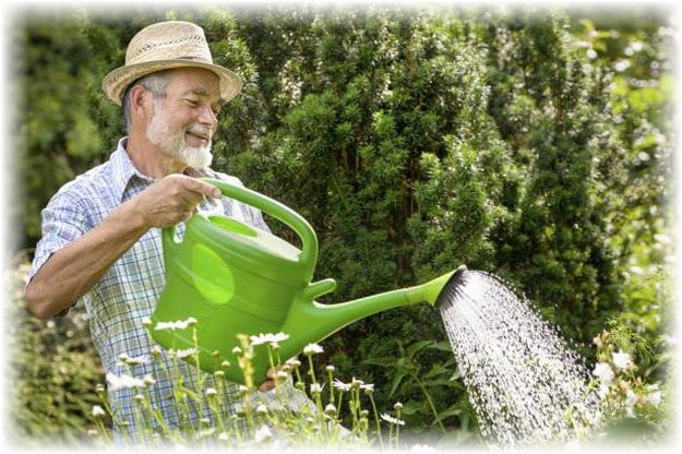 watering a watermelon