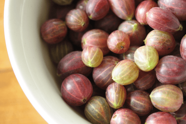 Bowl with gooseberries