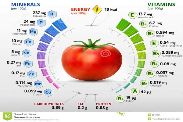 minerala i vitamina