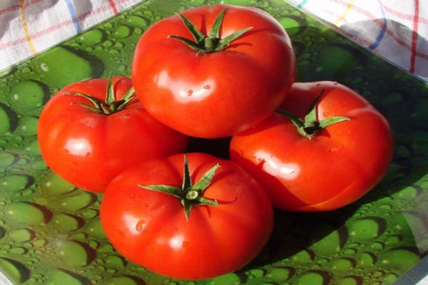 rajčata proti nemocem