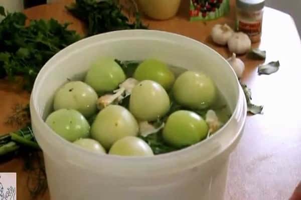 bucket of tomato 