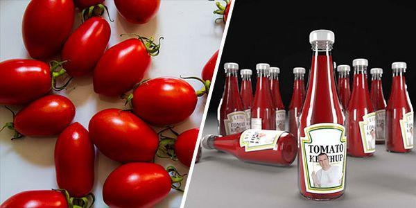 paradicsom és ketchup