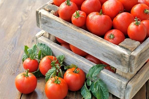 tomato box 