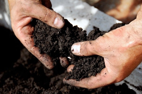 jord för plantering