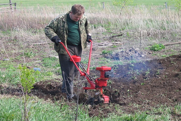 zpracovat brambory