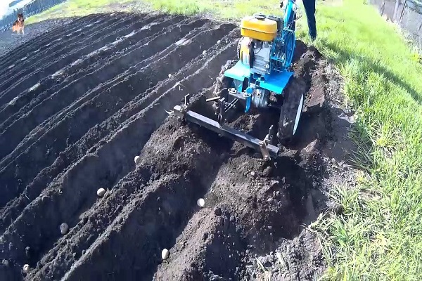 furrow-creating