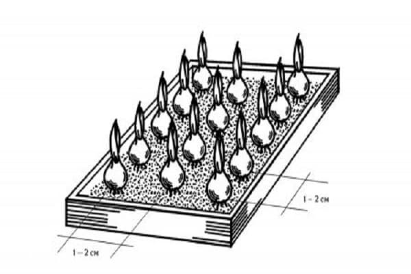 kaliumchlorid