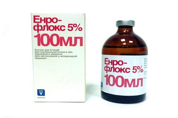 Enroflox palack