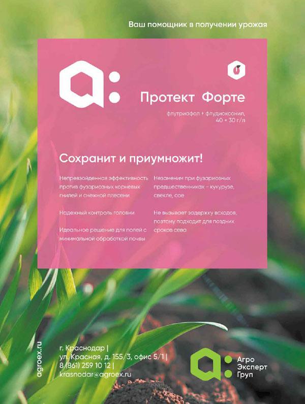 дезинфектант protect forte