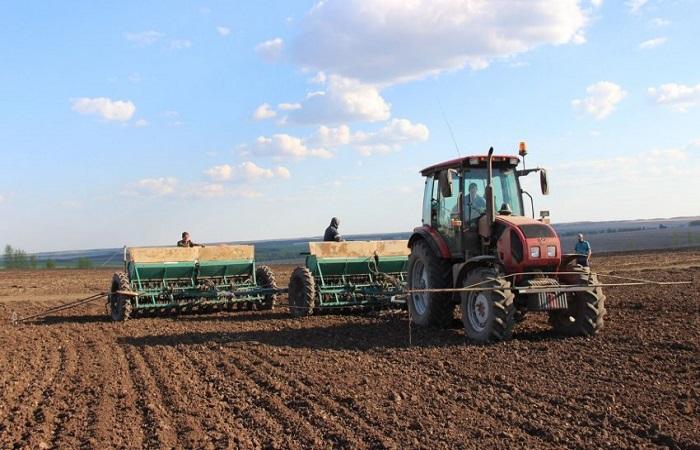 workers in the field 