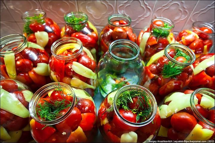 Tomaten mit Pfeffer 