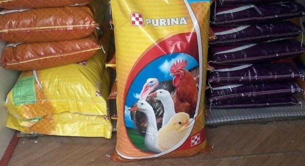 Pagkain ng Purina