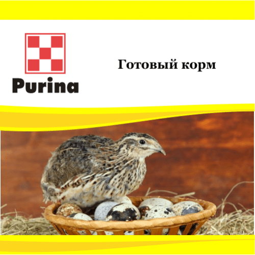 purina pentru pasari