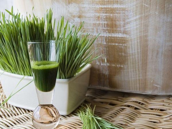 katas ng wheatgrass