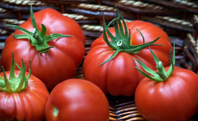 tomato variety