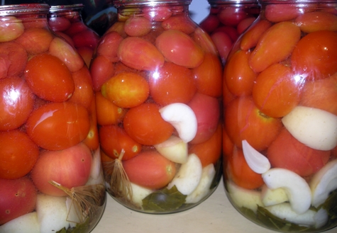 rajčata s jablečným octem ve sklenicích