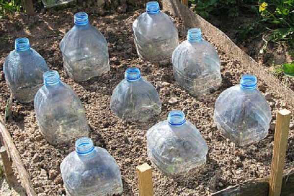 freezer bottles 