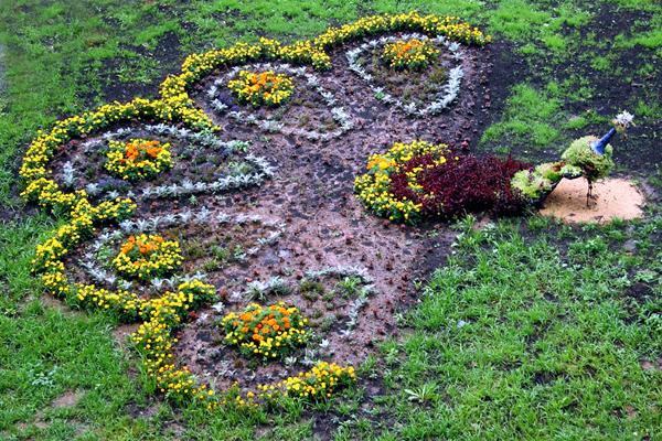 flower garden in the garden 