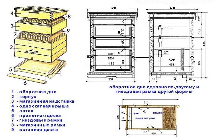 цртеж скице 