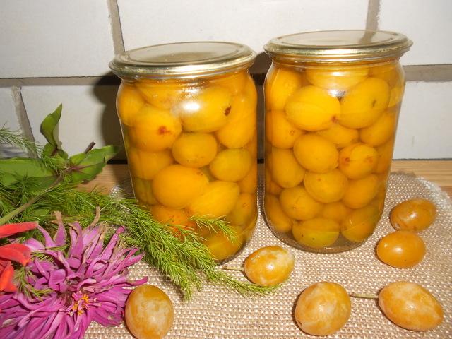 yellow plums 