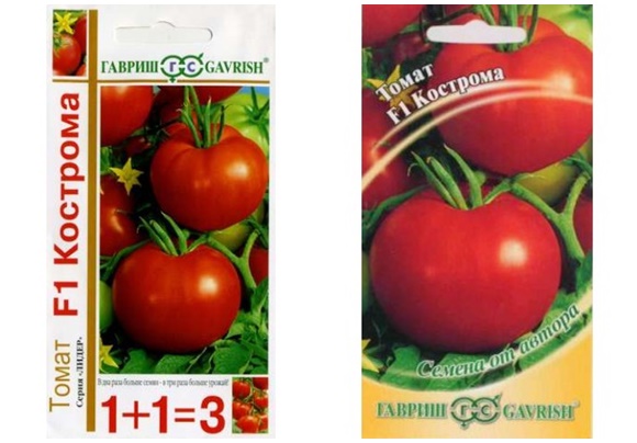 Kostroma tomato seeds