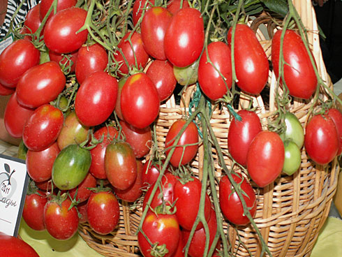 Tomatensorten