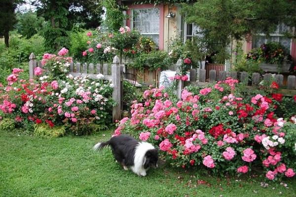 casa de flors 