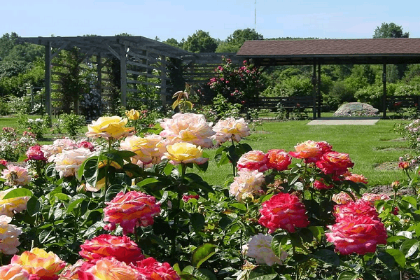 Gartenfreuden 