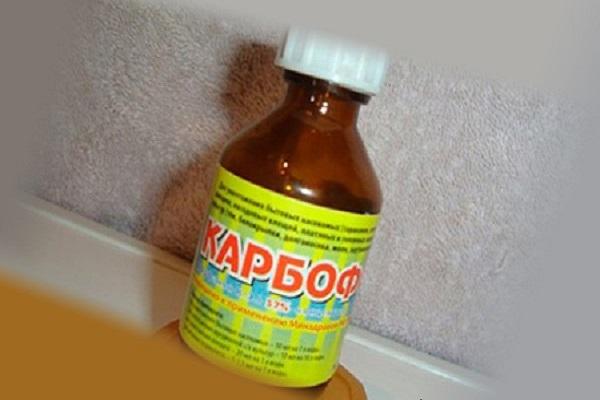 Flasche Karbofos