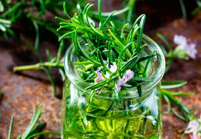 rosemary in a jar