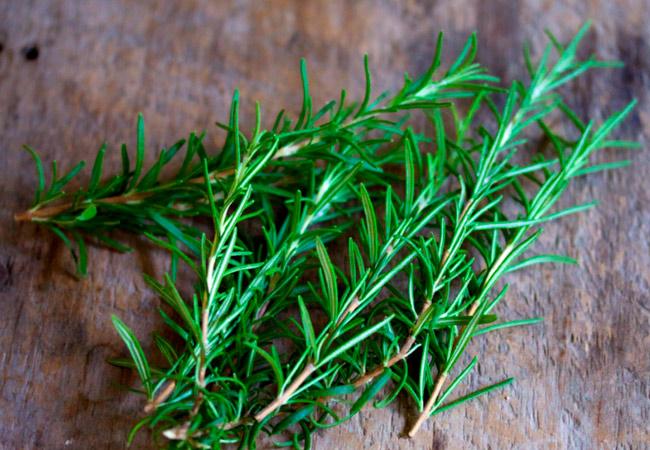 rosemary benefits and harm