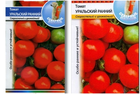 graines de tomates Oural précoces