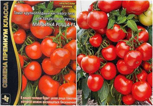 semena rajčat rajčata Maryina Roshcha