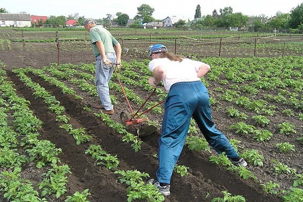 preporučeno