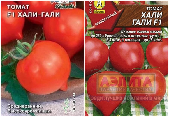 Hali-Gali-Tomatensamen