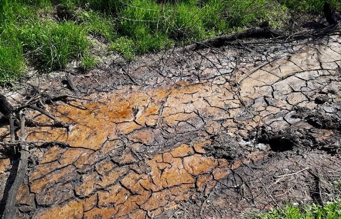 tierra contaminada 