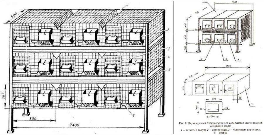 20 drawings with the dimensions of cages for rabbits with your own hands and an assembly video