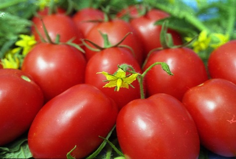 Easter vegetables