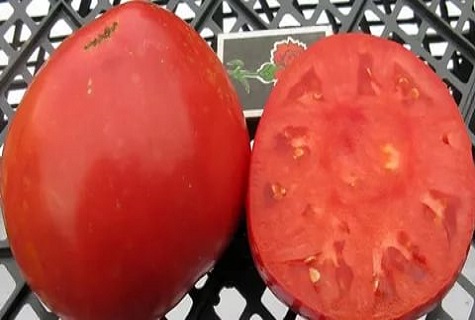 tomate sur le panier 