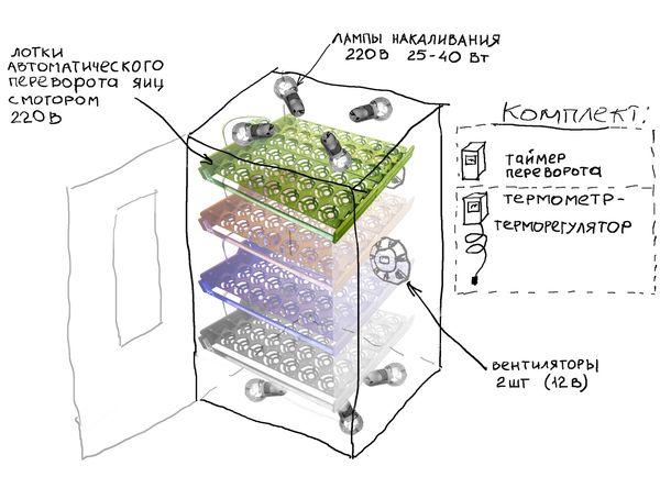 inkubátor diagram