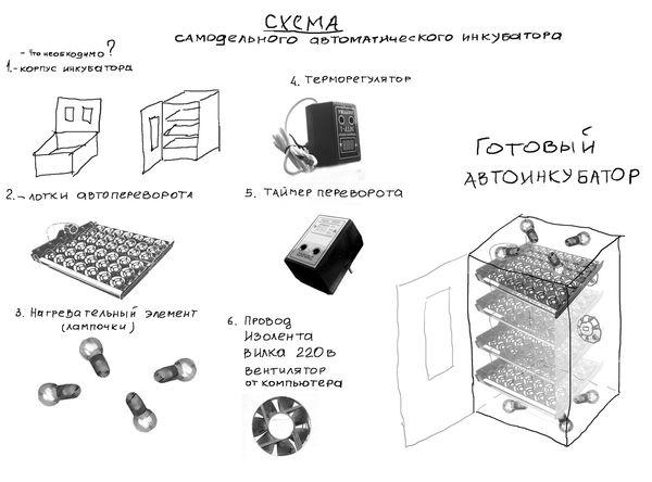 homemade incubator