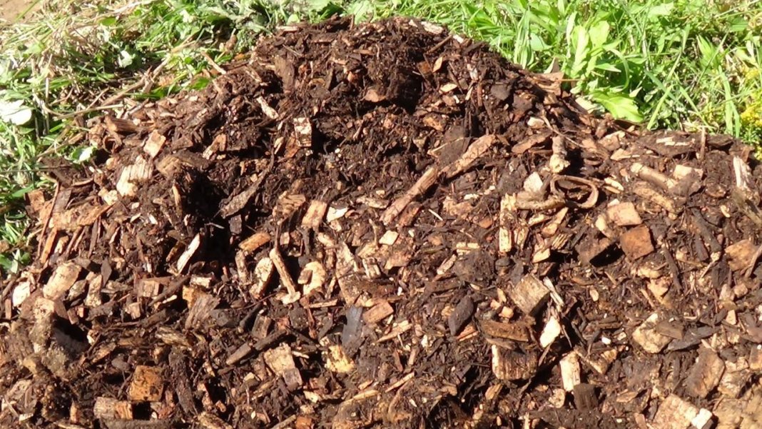 pilinový kompost