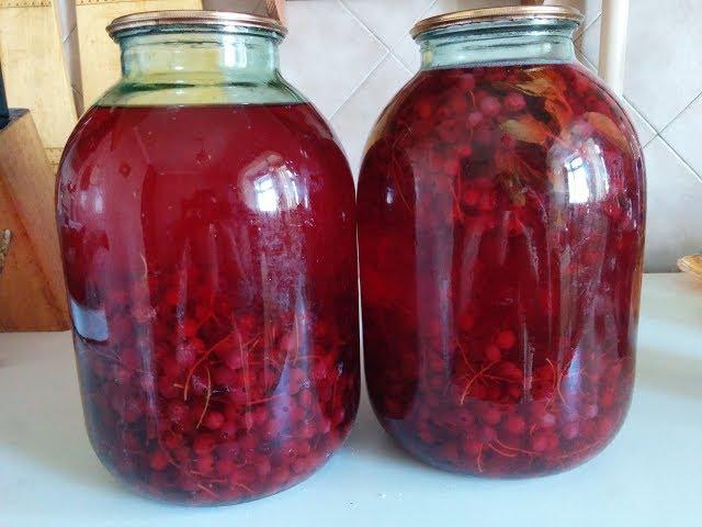 recept na kompot 