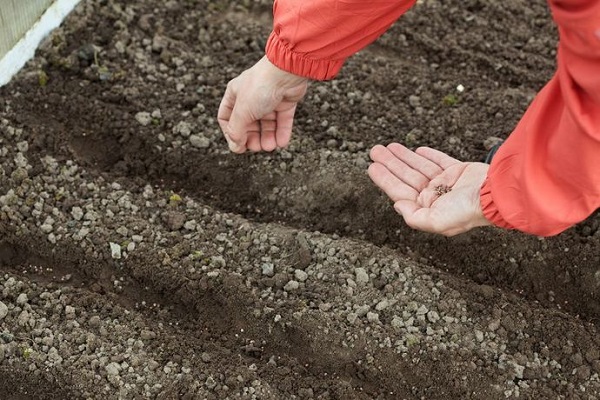 voorbereiding van de grond 