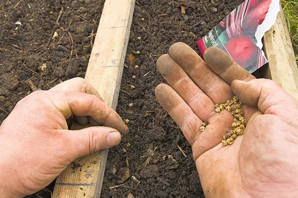 organisch materiaal wordt verspreid